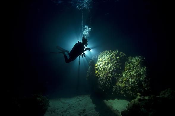 PADI Night Diver Speciality