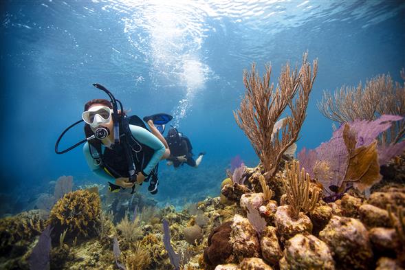 PADI Open Water Diver Dykkerkursus