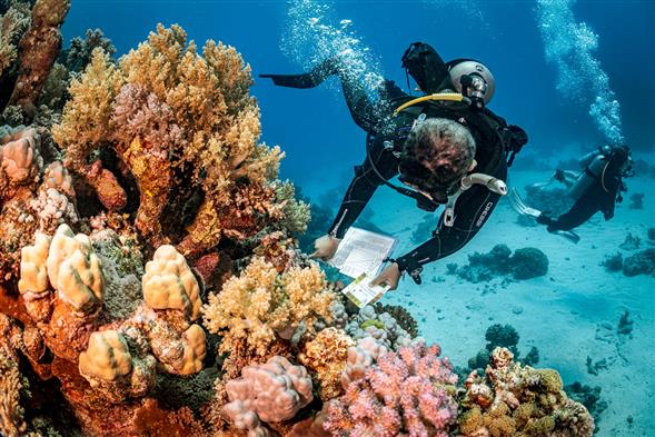 PADI Underwater Naturalist